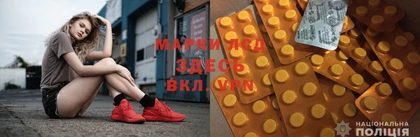 крисы Абаза