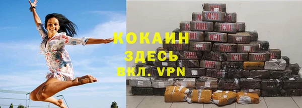 крисы Абаза