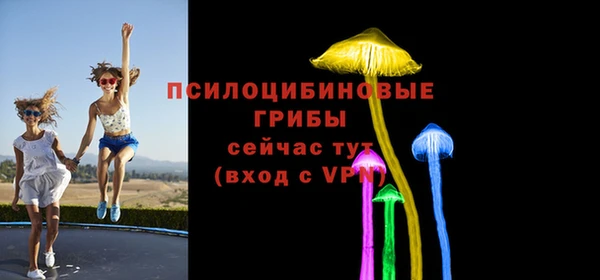 крисы Абаза