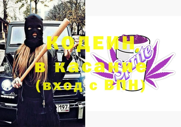 крисы Абаза