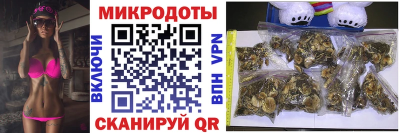 купить наркотики цена  Каменногорск  OMG ТОР  Галлюциногенные грибы Psilocybine cubensis 