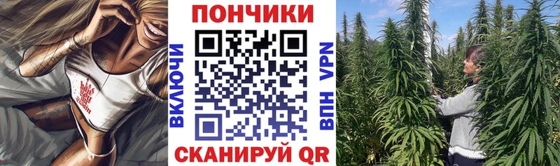 Шишки марихуана ГИДРОПОН  Каменногорск 